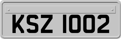 KSZ1002