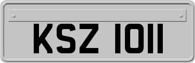 KSZ1011