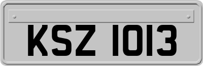 KSZ1013