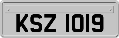 KSZ1019