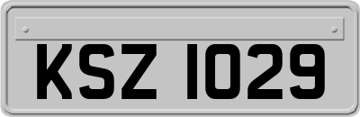 KSZ1029