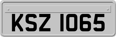 KSZ1065