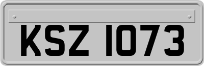 KSZ1073