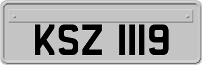 KSZ1119