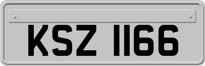 KSZ1166