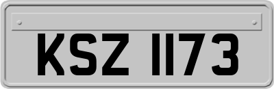 KSZ1173