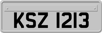 KSZ1213