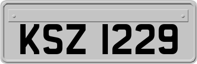 KSZ1229