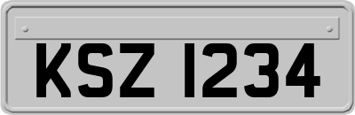 KSZ1234