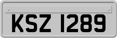 KSZ1289