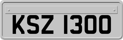 KSZ1300