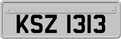 KSZ1313