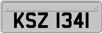 KSZ1341