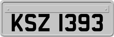 KSZ1393