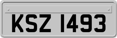 KSZ1493