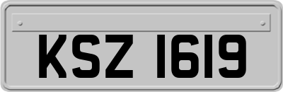 KSZ1619