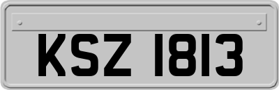 KSZ1813
