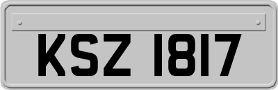 KSZ1817