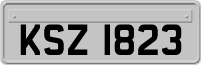 KSZ1823