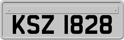 KSZ1828