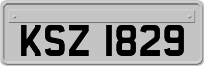 KSZ1829