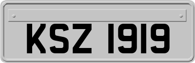 KSZ1919