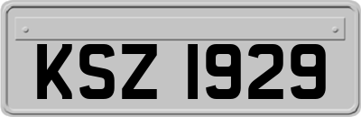 KSZ1929