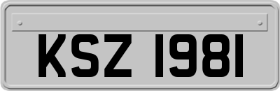 KSZ1981