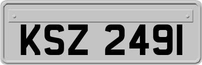 KSZ2491