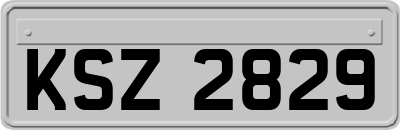 KSZ2829