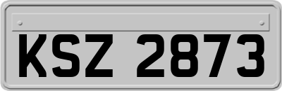 KSZ2873