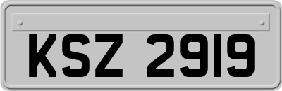 KSZ2919