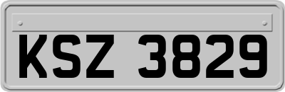 KSZ3829