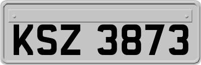 KSZ3873