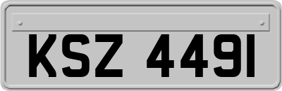 KSZ4491