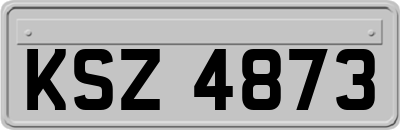KSZ4873