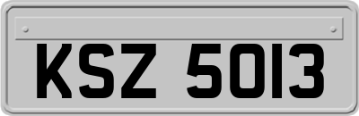 KSZ5013