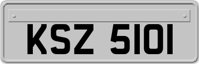 KSZ5101