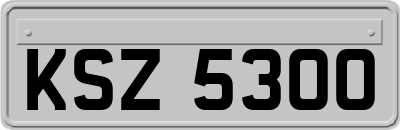 KSZ5300
