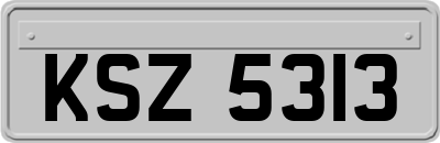 KSZ5313