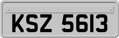 KSZ5613