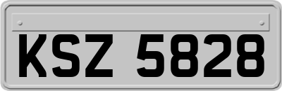 KSZ5828