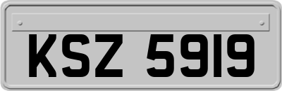 KSZ5919