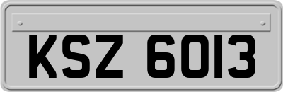 KSZ6013