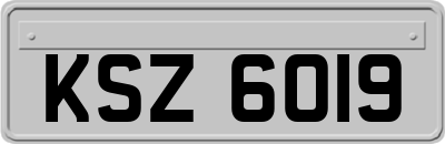 KSZ6019