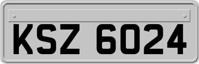 KSZ6024