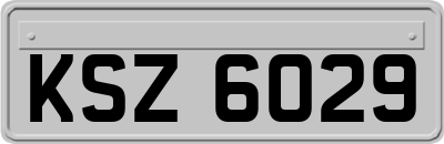 KSZ6029