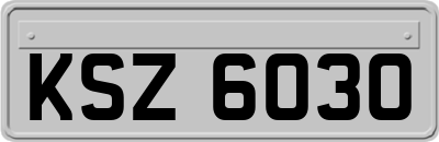 KSZ6030
