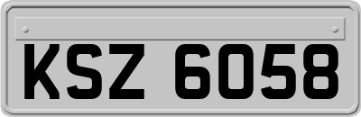 KSZ6058