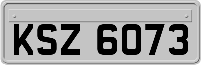 KSZ6073